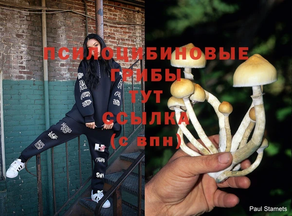 мдпв Нефтекумск