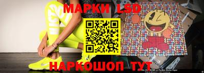 стаф Кимры
