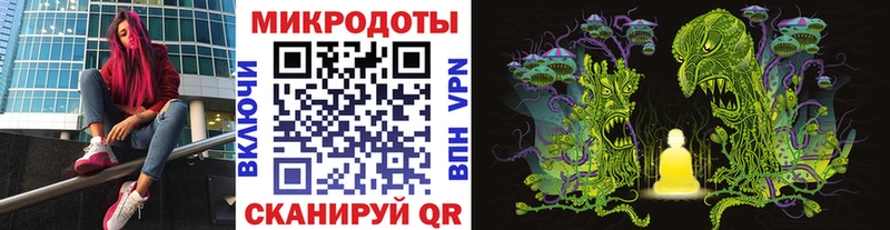 Псилоцибиновые грибы мицелий  Холмск 