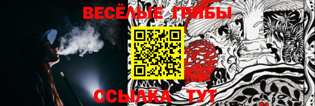 Холмск  Галлюциногенные грибы GOLDEN TEACHER  Вход с VPN 