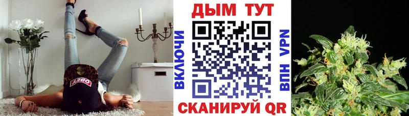 Бошки Шишки планчик Холмск